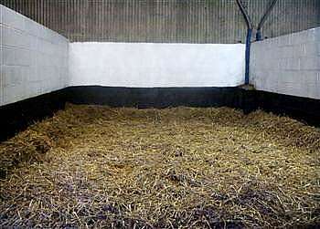 Stud Farm Foaling Boxes